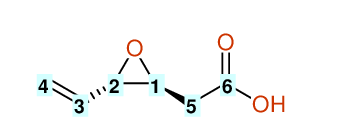 Structural diagram