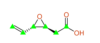 Structural diagram