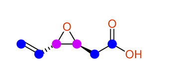 Structural diagram