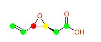 Structural diagram