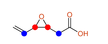 Structural diagram