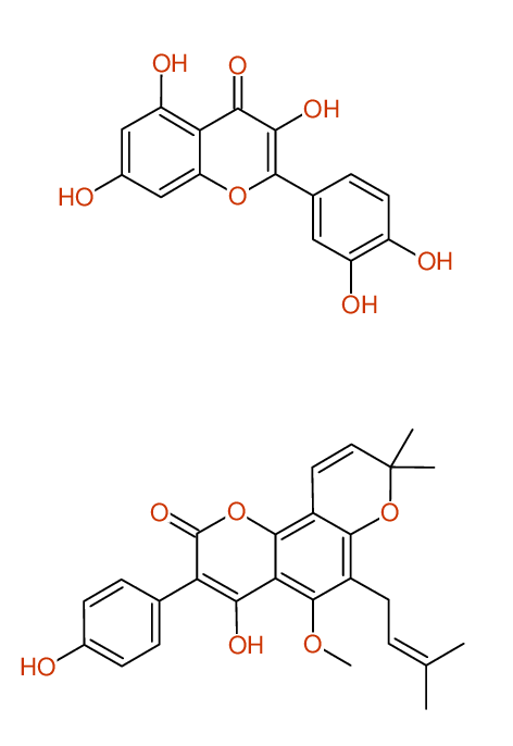 Structure diagram