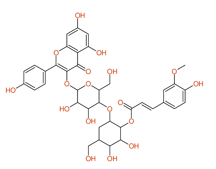 Structure diagram